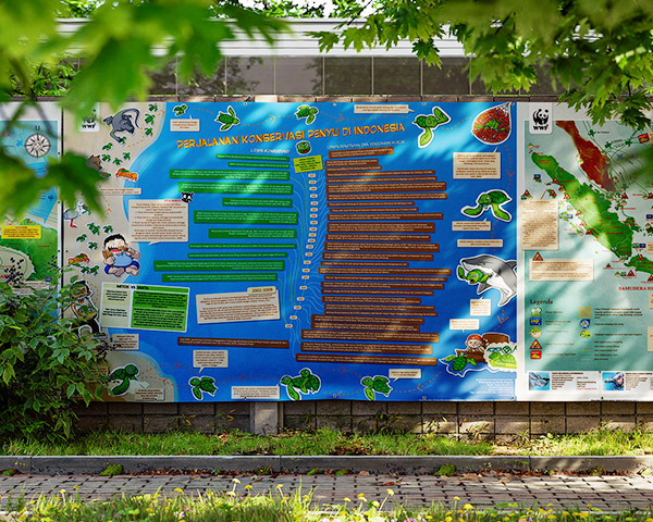 Poster Konservasi Penyu - WWF Indonesia