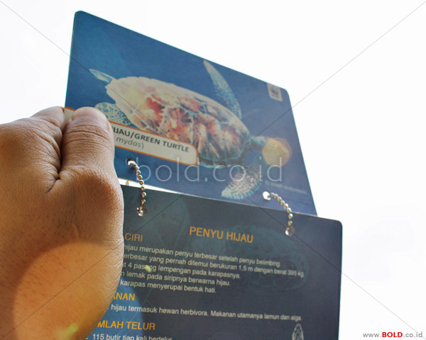 Gantungan Tas  (Kampanye Save Penyu) - WWF