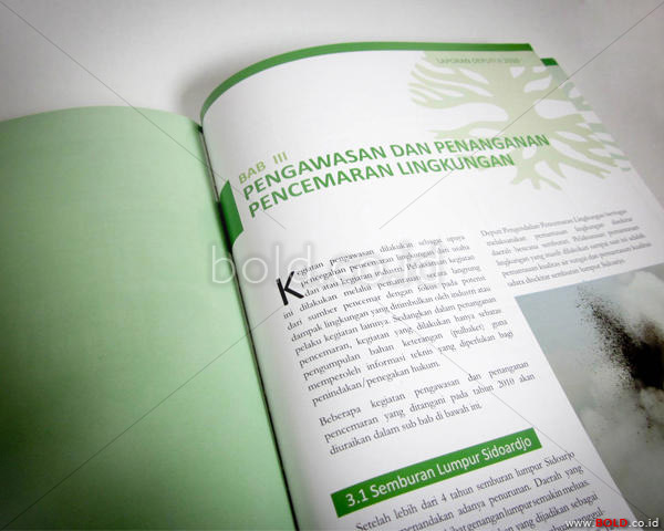 Laporan Deputi BPL 2010 KLH - Kementerian Lingkungan Hidup