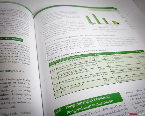 Laporan Deputi BPL 2010 KLH - Kementerian Lingkungan Hidup