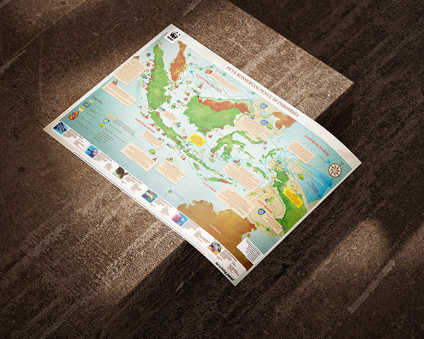 Poster Konservasi Penyu - WWF Indonesia